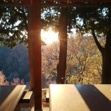 Ca Giovanni Country Pet Friendly Bed & Breakfast Urbino