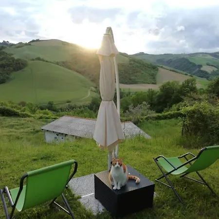 Ca Giovanni Country Pet Friendly Bed & Breakfast Urbino