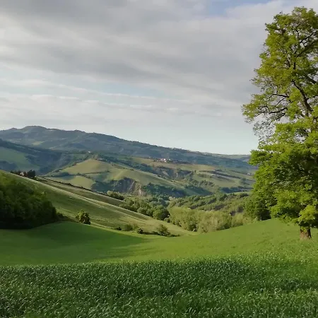 Ca Giovanni Country Pet Friendly Urbino